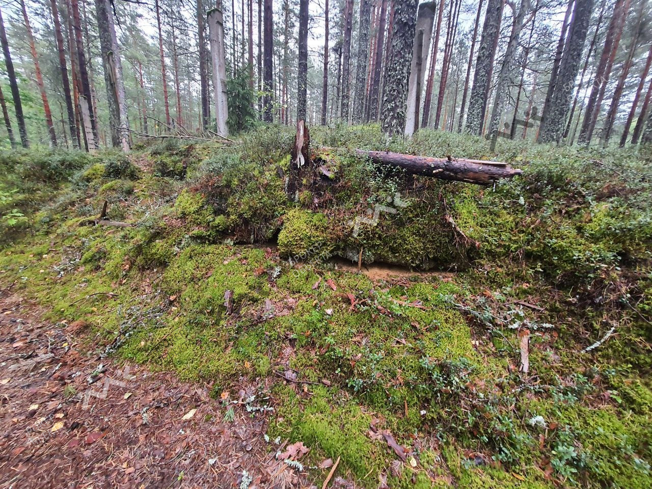 Фото объекта