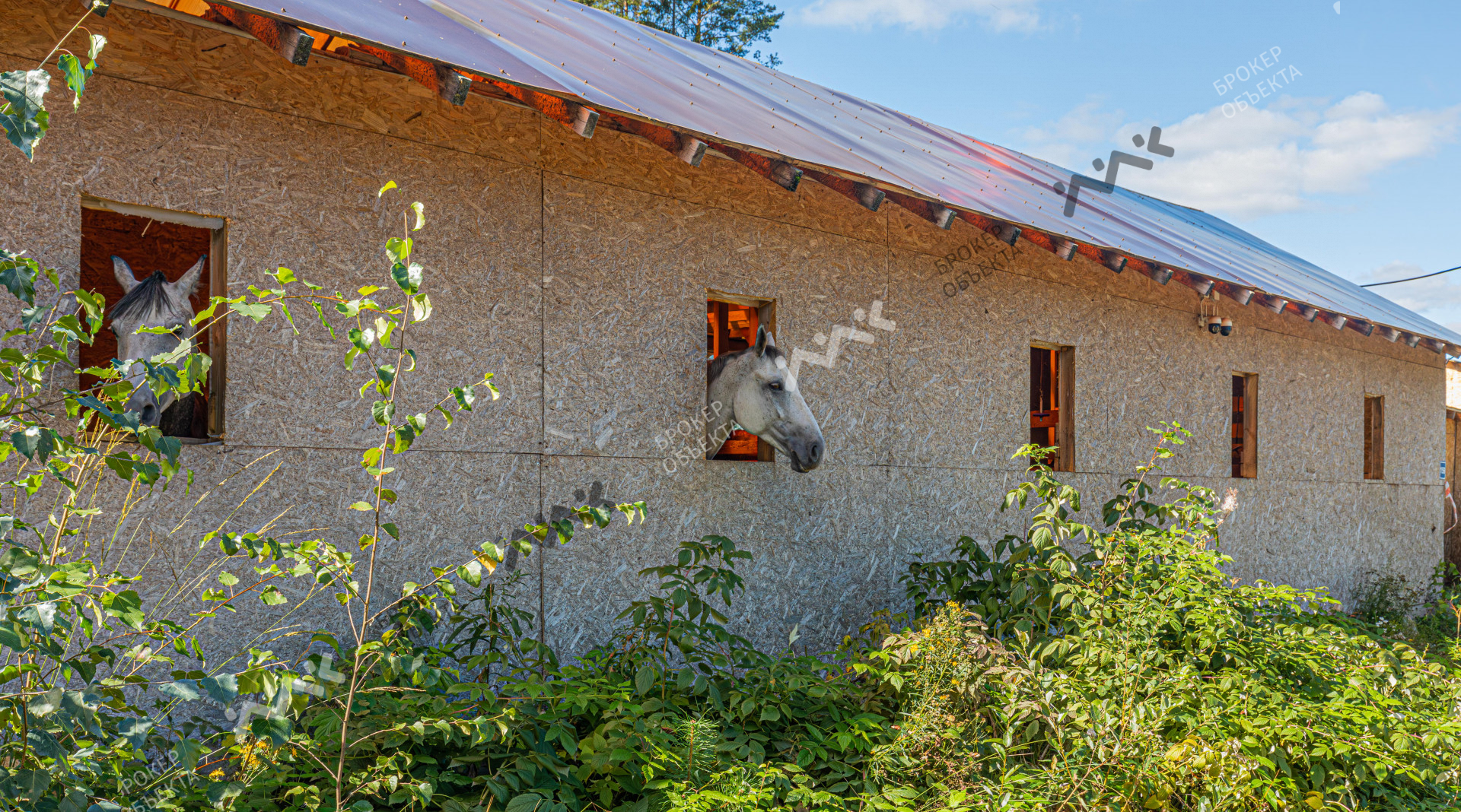 Фото объекта