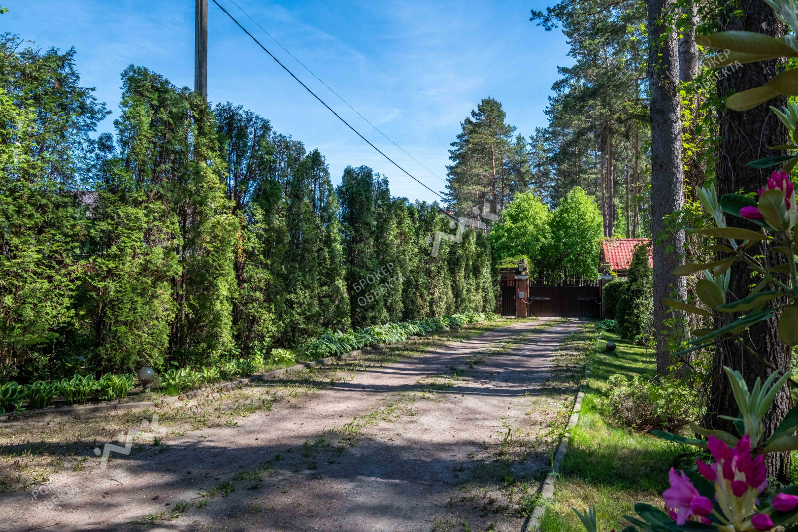 Фото объекта